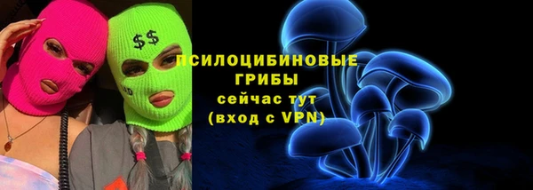 винт Алексин