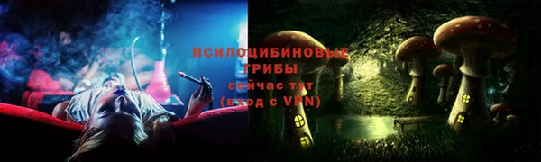 индика Алексеевка
