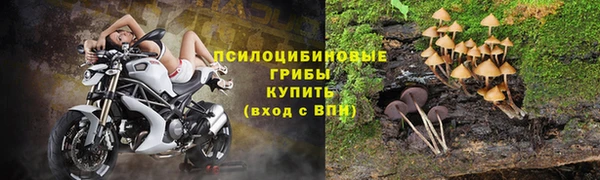 индика Алексеевка