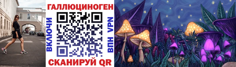 Псилоцибиновые грибы GOLDEN TEACHER  Бердск 